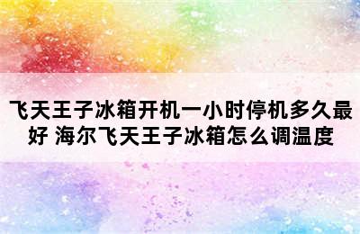 飞天王子冰箱开机一小时停机多久最好 海尔飞天王子冰箱怎么调温度